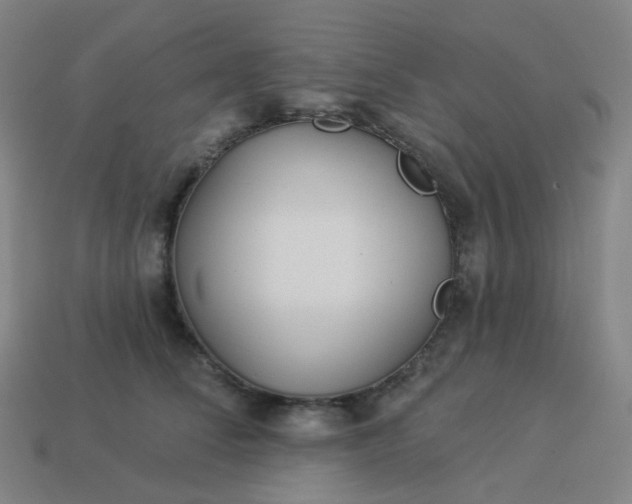 X0000114070708200910191522