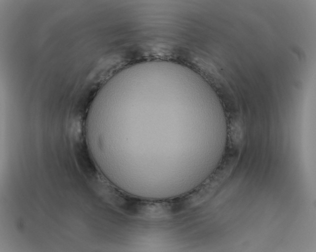 X0000114070709200910191522