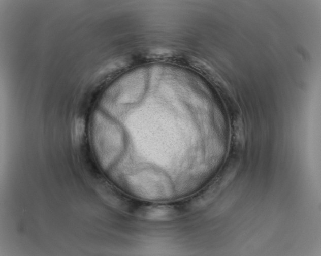 X0000114070711200910191522