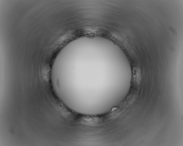 X0000114070712200910191522