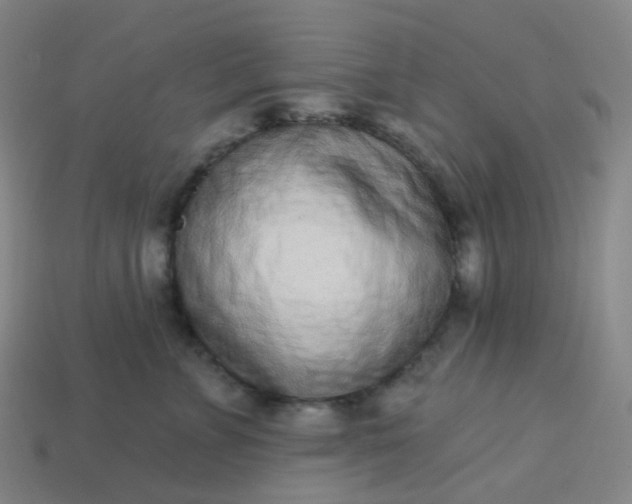 X0000114070715200910191522