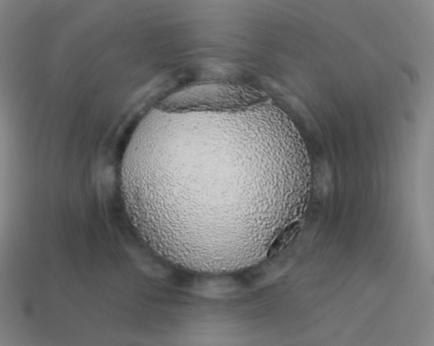 X0000114070716200910191522