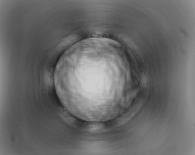 X0000114070719200910191522