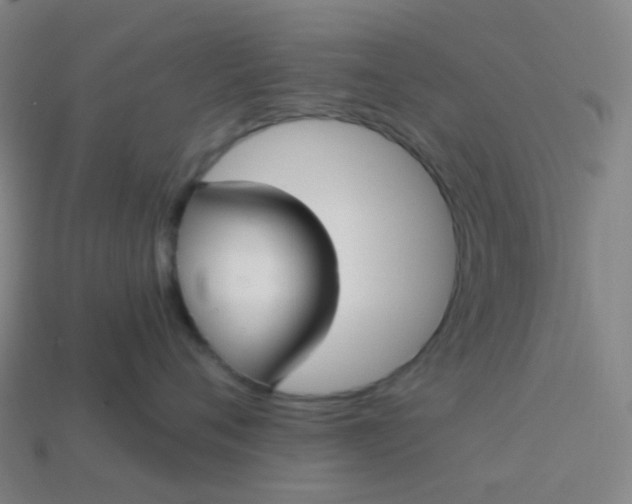 X0000114070720200910191522