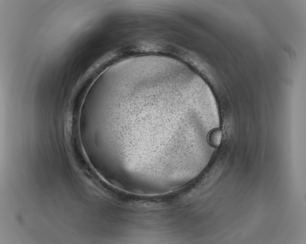 X0000114070722200910191521