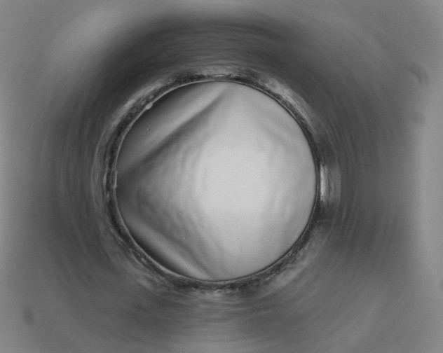 X0000114070723200910191521