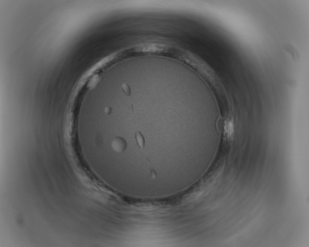 X0000114070724200910191521