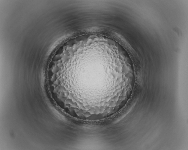 X0000114070725200910191521