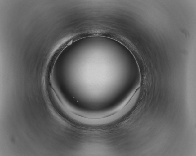 X0000114070726200910191521