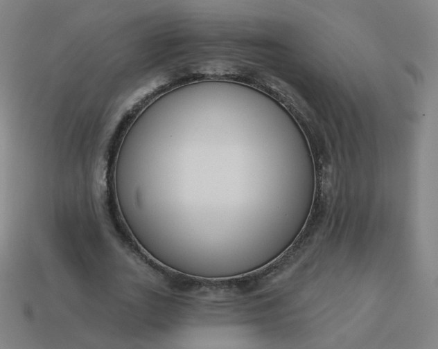 X0000114070727200910191521