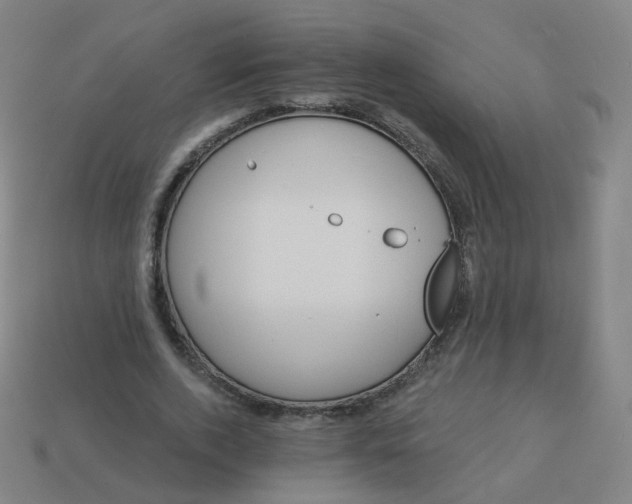 X0000114070728200910191521