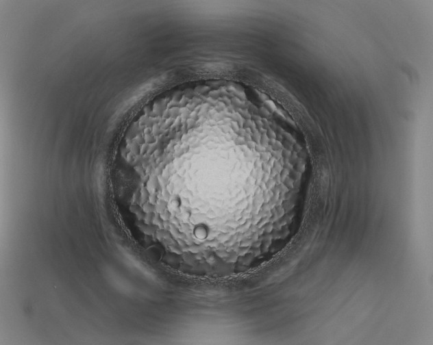 X0000114070729200910191521