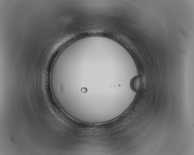 X0000114070732200910191521