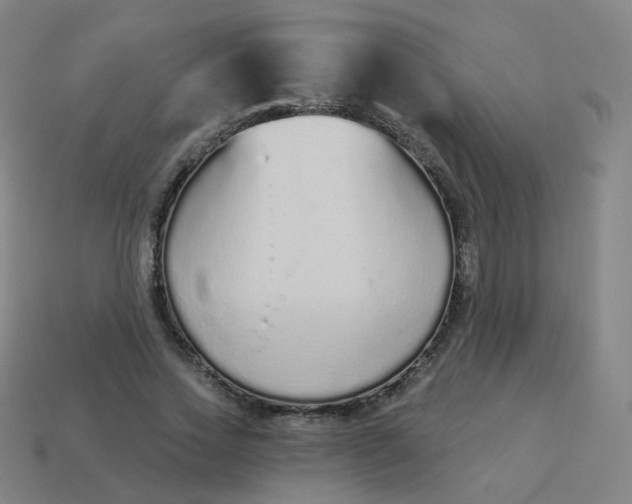 X0000114070733200910191521