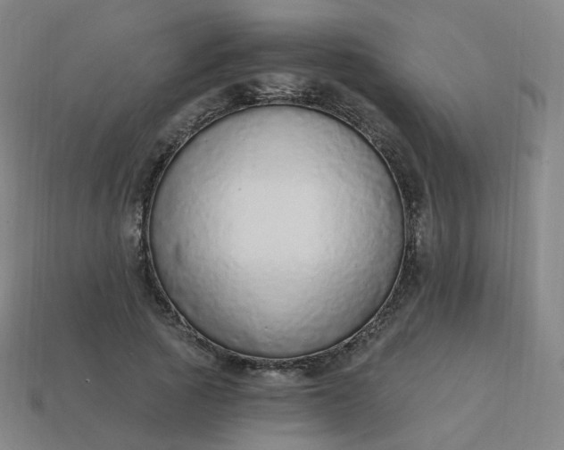 X0000114070737200910191521