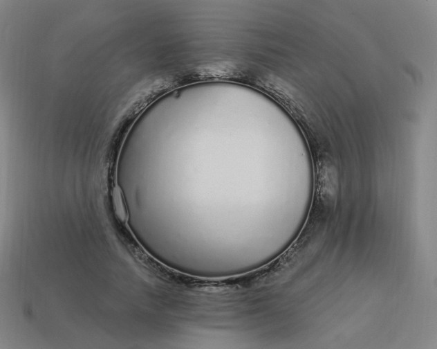 X0000114070738200910191521