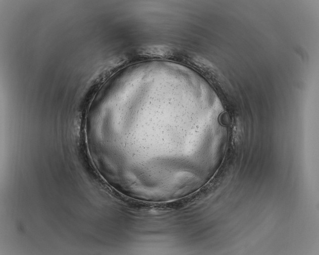 X0000114070739200910191521