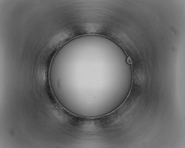 X0000114070740200910191521