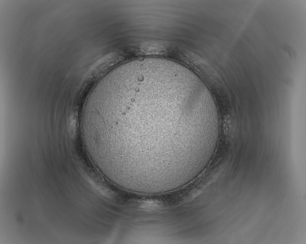 X0000114070741200910191521