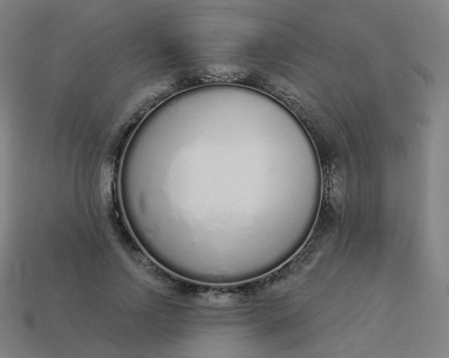 X0000114070742200910191521