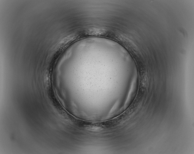 X0000114070743200910191521