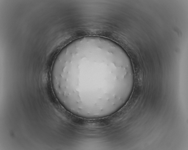 X0000114070746200910191521