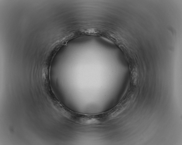 X0000114070747200910191521