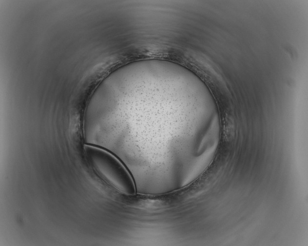 X0000114070748200910191521