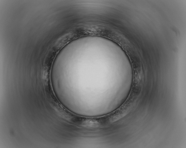 X0000114070749200910191522