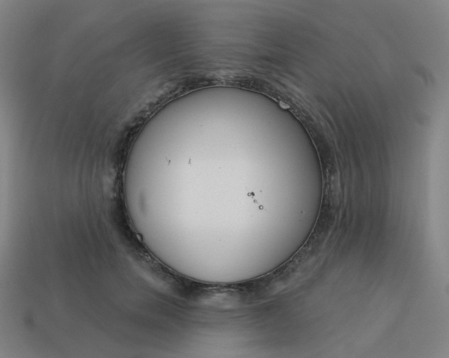 X0000114070750200910191522