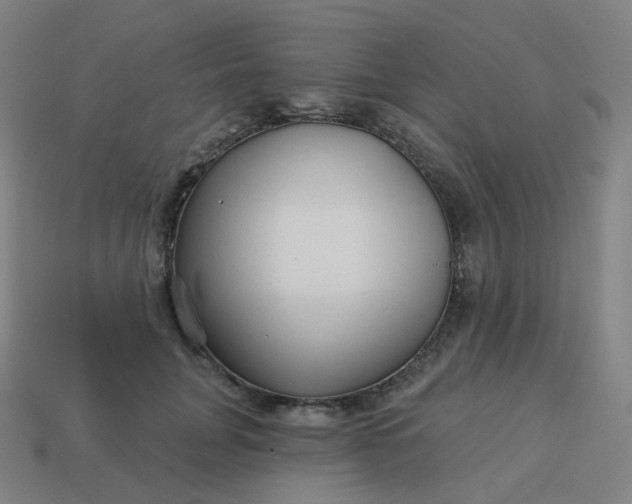 X0000114070751200910191522