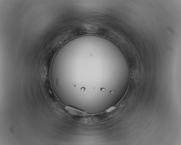 X0000114070752200910191522