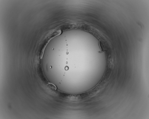 X0000114070756200910191522