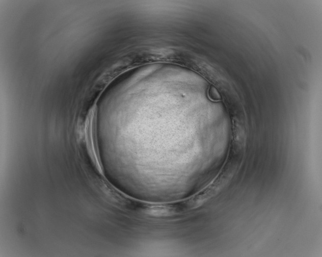 X0000114070758200910191522