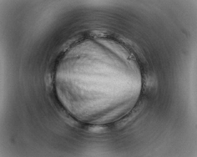 X0000114070759200910191522