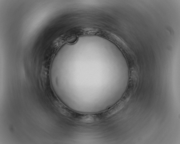 X0000114070761200910191522