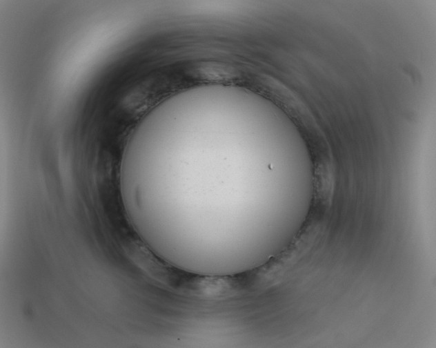 X0000114070762200910191522