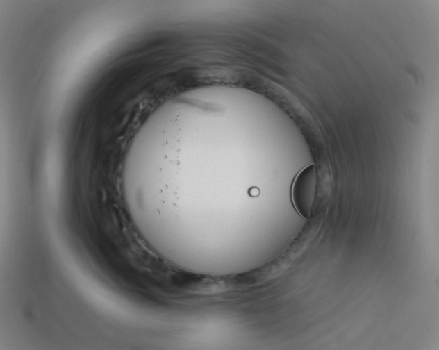 X0000114070764200910191522