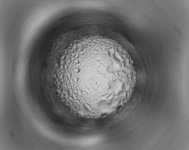 X0000114070765200910191522