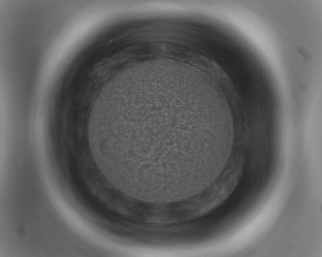 X0000114070766200910191522