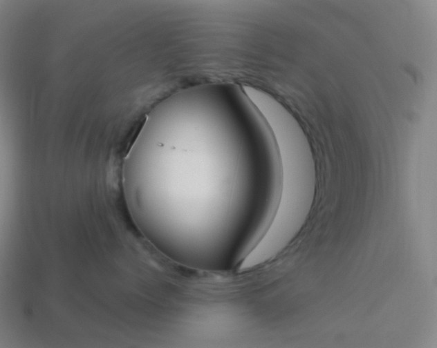 X0000114070768200910191522