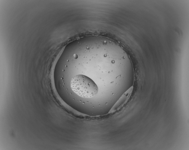 X0000114070769200910191521