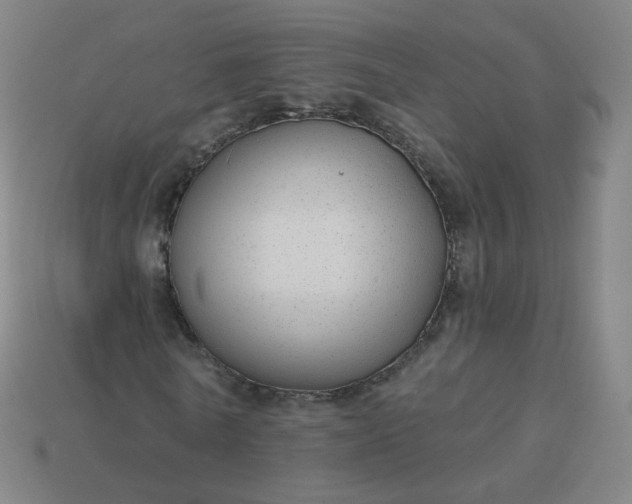 X0000114070770200910191521