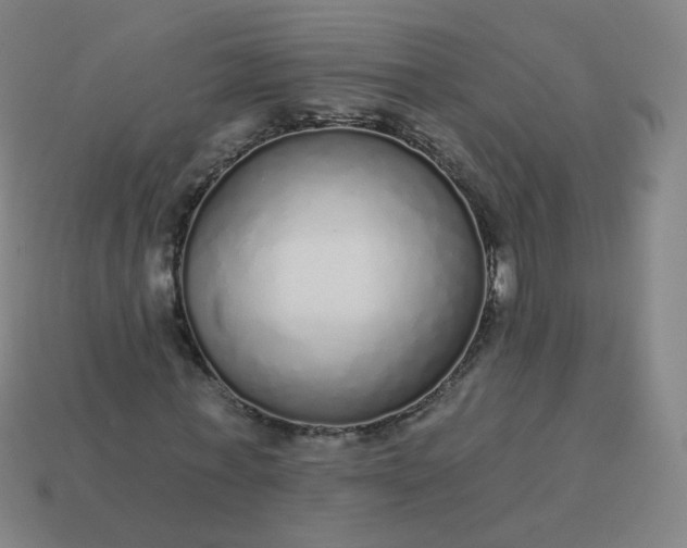 X0000114070771200910191521