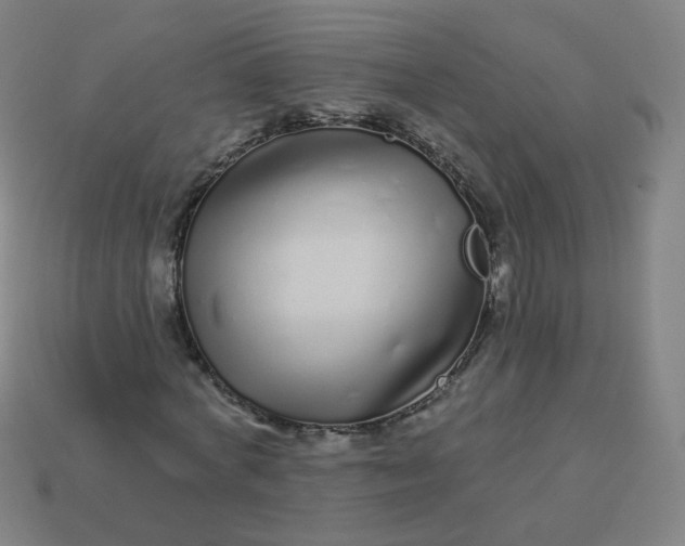 X0000114070772200910191521