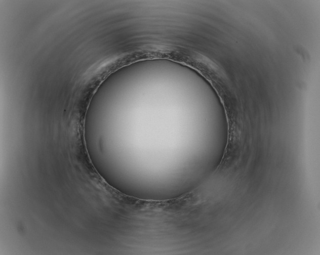 X0000114070773200910191521