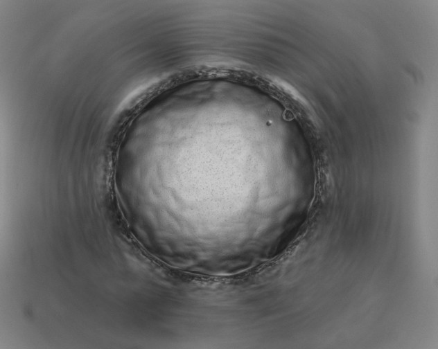 X0000114070775200910191521