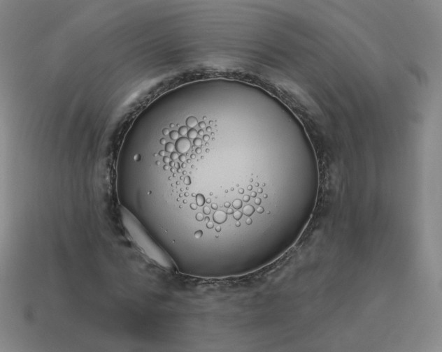 X0000114070776200910191521