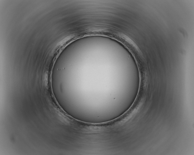 X0000114070777200910191521