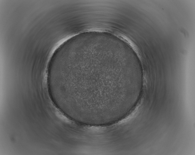 X0000114070779200910191521